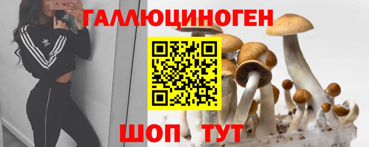 Псилоцибиновые грибы прущие грибы  Вход с VPN  купить   Керчь 